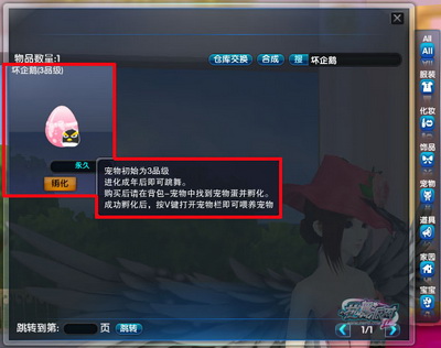 图片: 0103.jpg